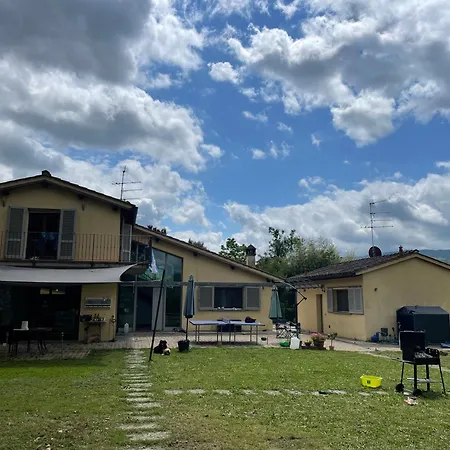 Under The Tuscan Trees Rabatta