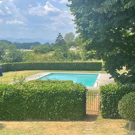 Under The Tuscan Trees Rabatta