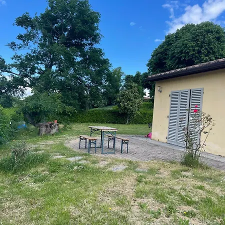 Under The Tuscan Trees * Rabatta